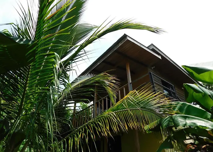 Nosara Hostels