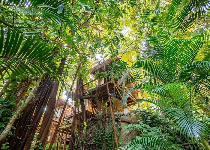 Barequecaba Hostels
