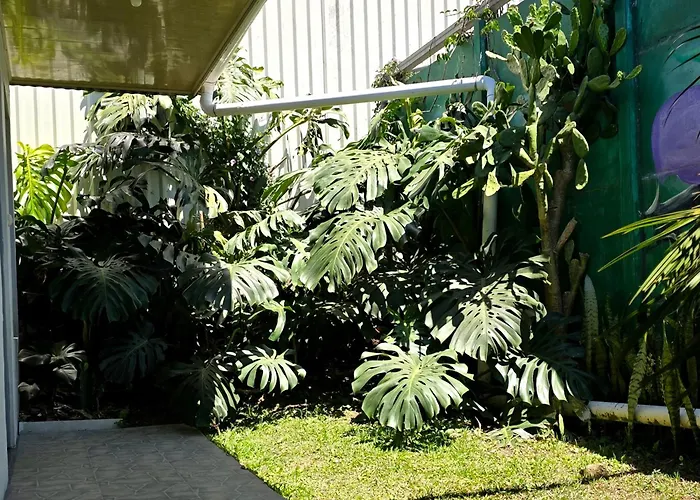 San Ramon (Alajuela) Hostels