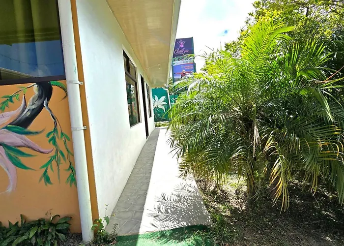 Monteverde Hostels