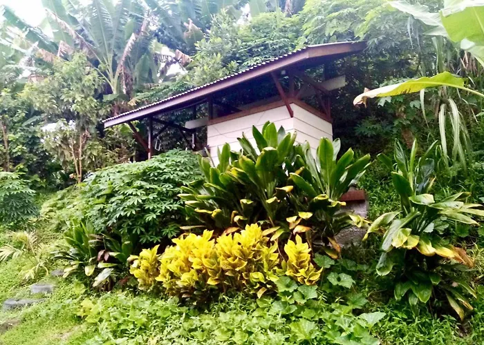 Tahiti Hostels