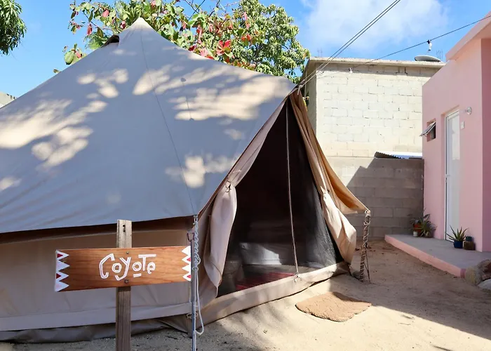 San Jose del Cabo Hostels